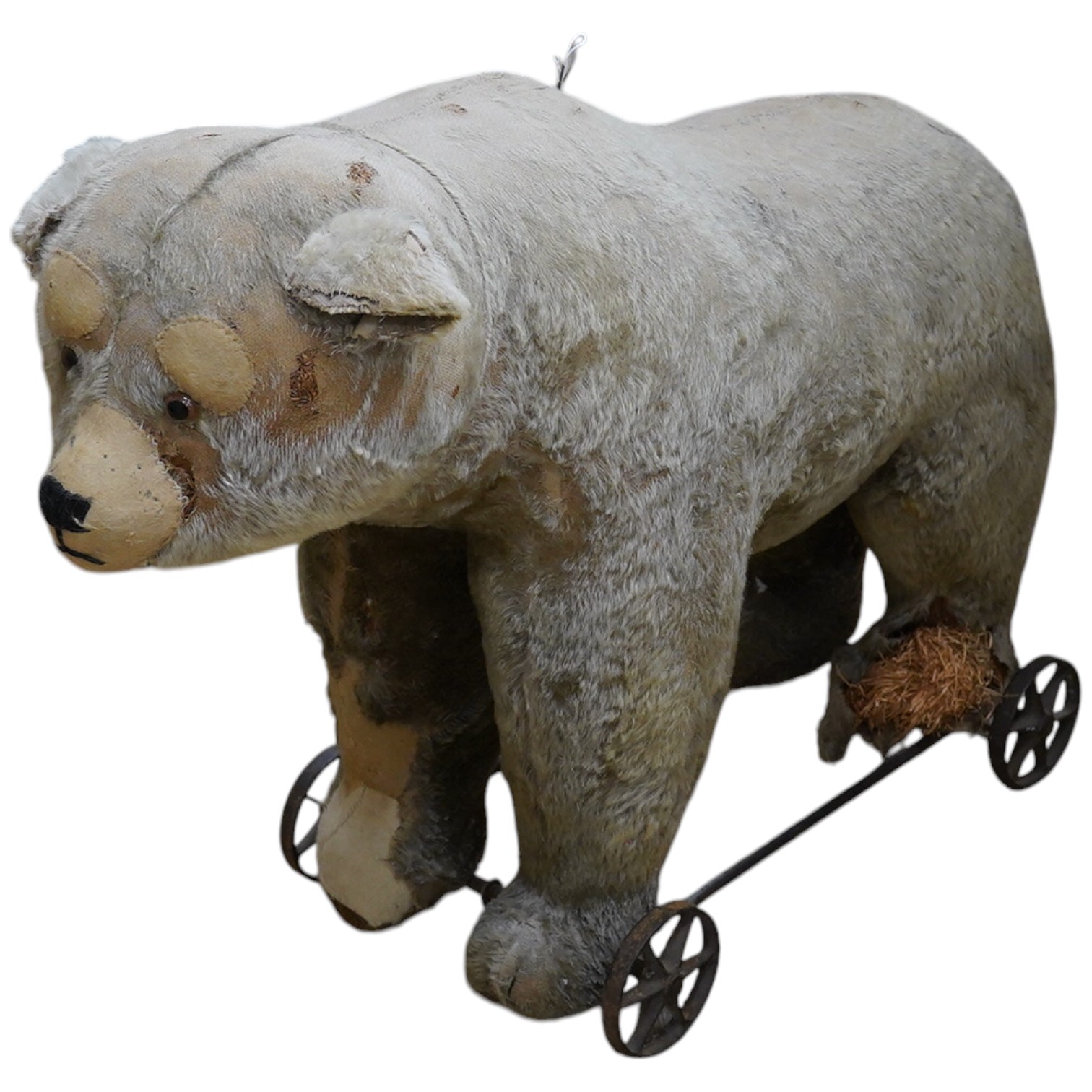 An early 20th century possibly Steiff bear on wheels, repairs to face, straw seeping from leg, squeeze working, 78cm head to tail. Condition - poor to fair.